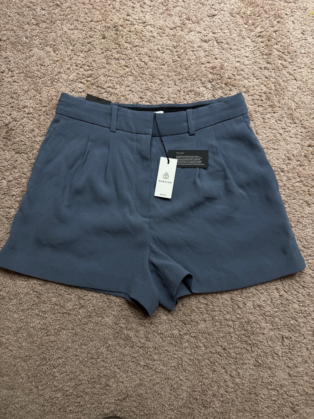 Aritzia Babaton the pleated short High-Rise Tailored Shorts